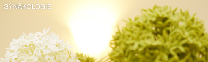 Gyn&auml;kologie